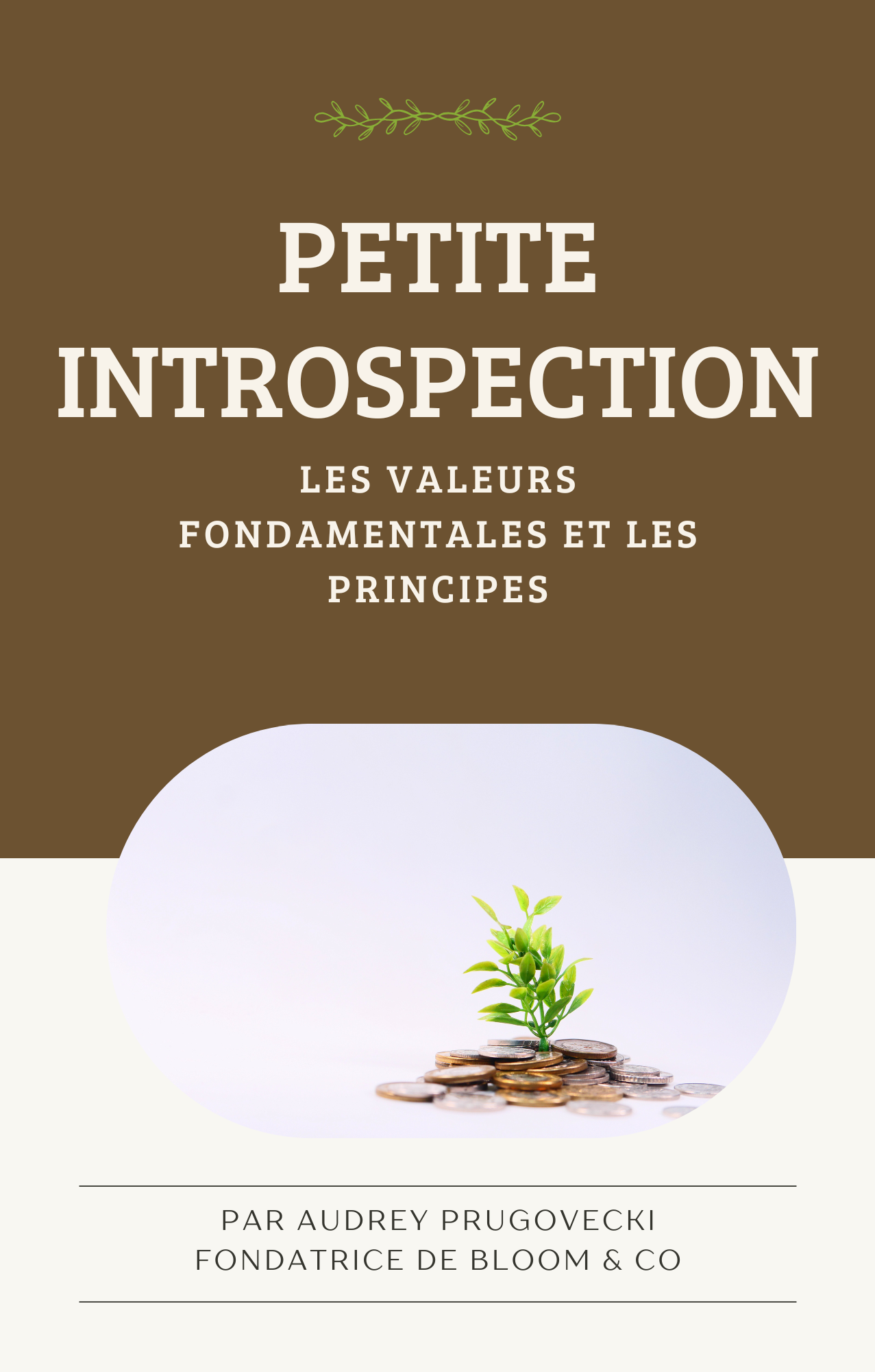 Couverture de livre avec le titre "Petite introspection" et une plante sur fond marron.